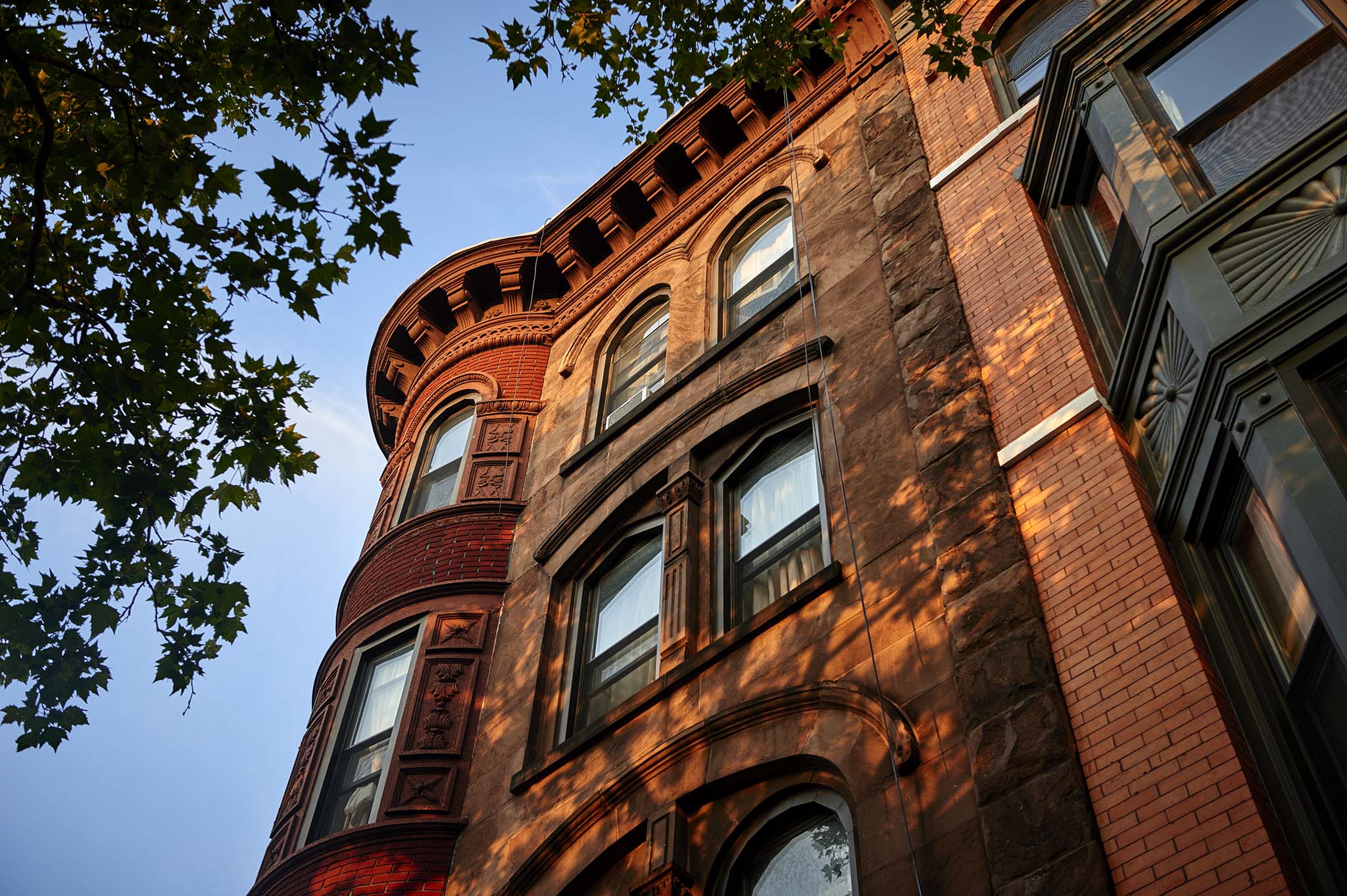 Brownstone Institute