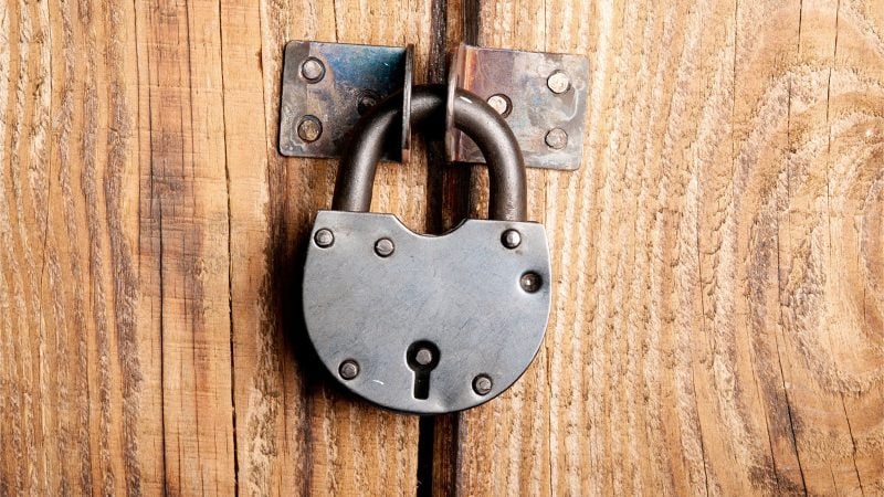 what-were-lockdowners-thinking