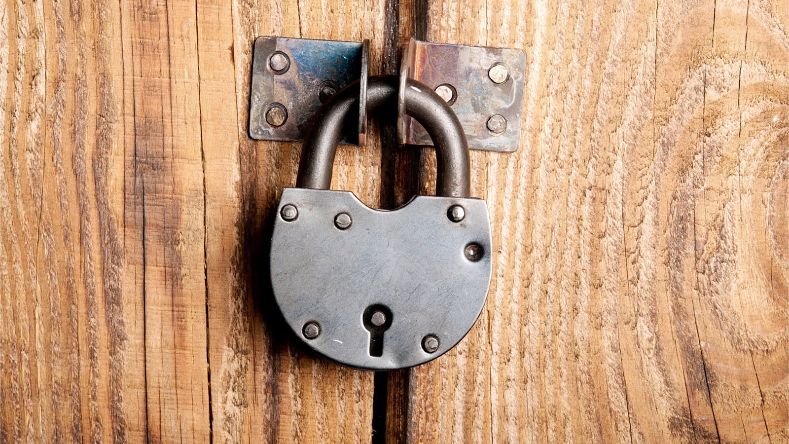 what-were-lockdowners-thinking