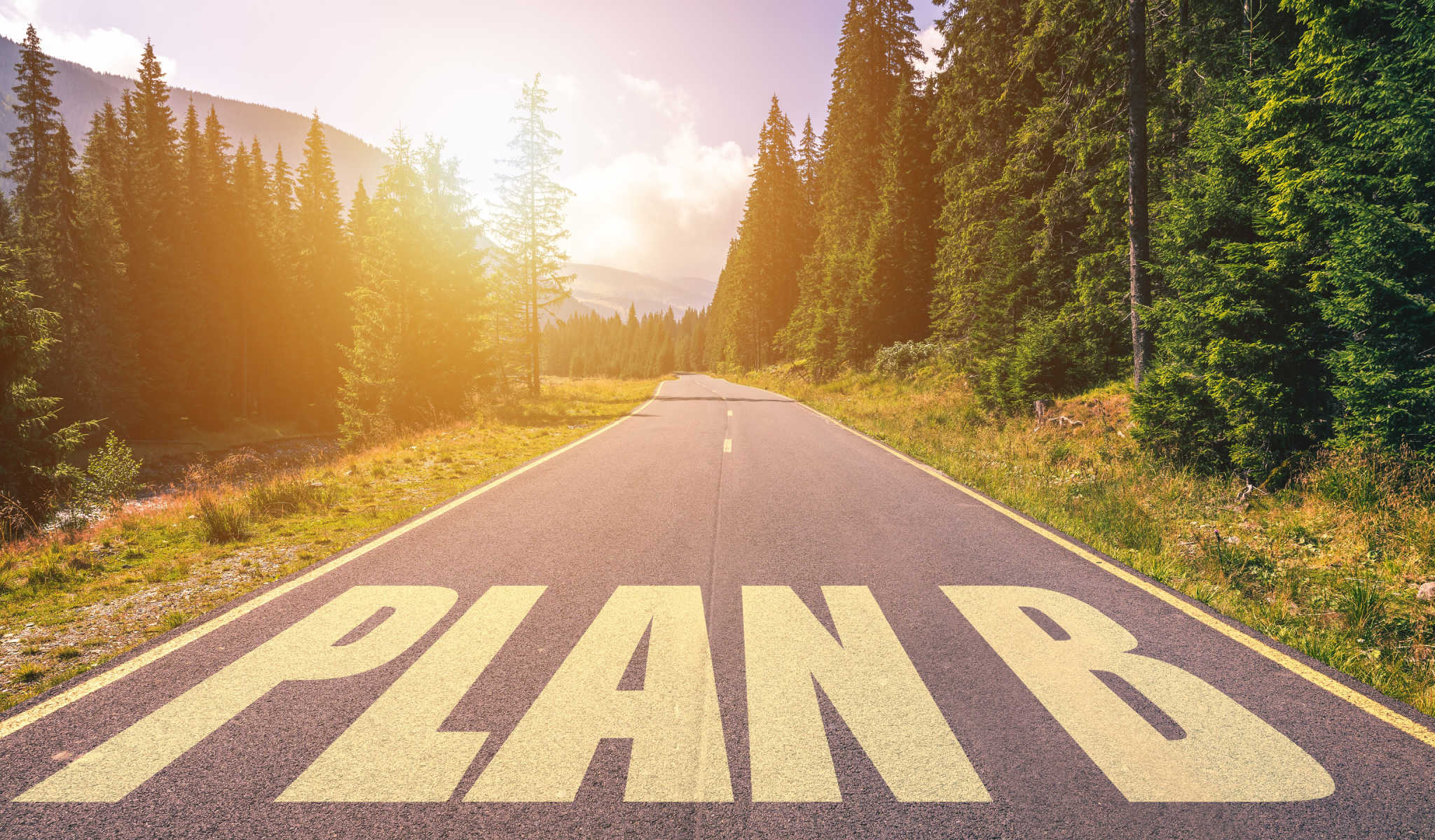 plan a or plan b