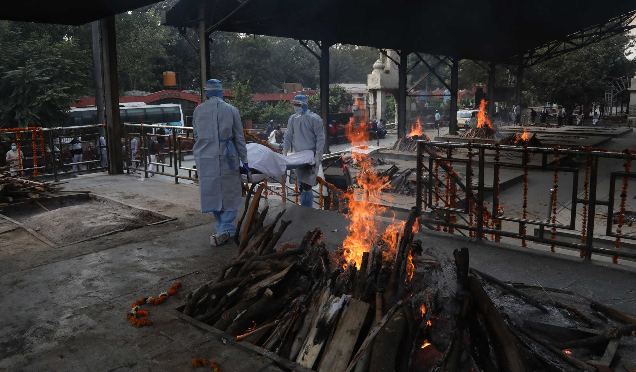 covid in india