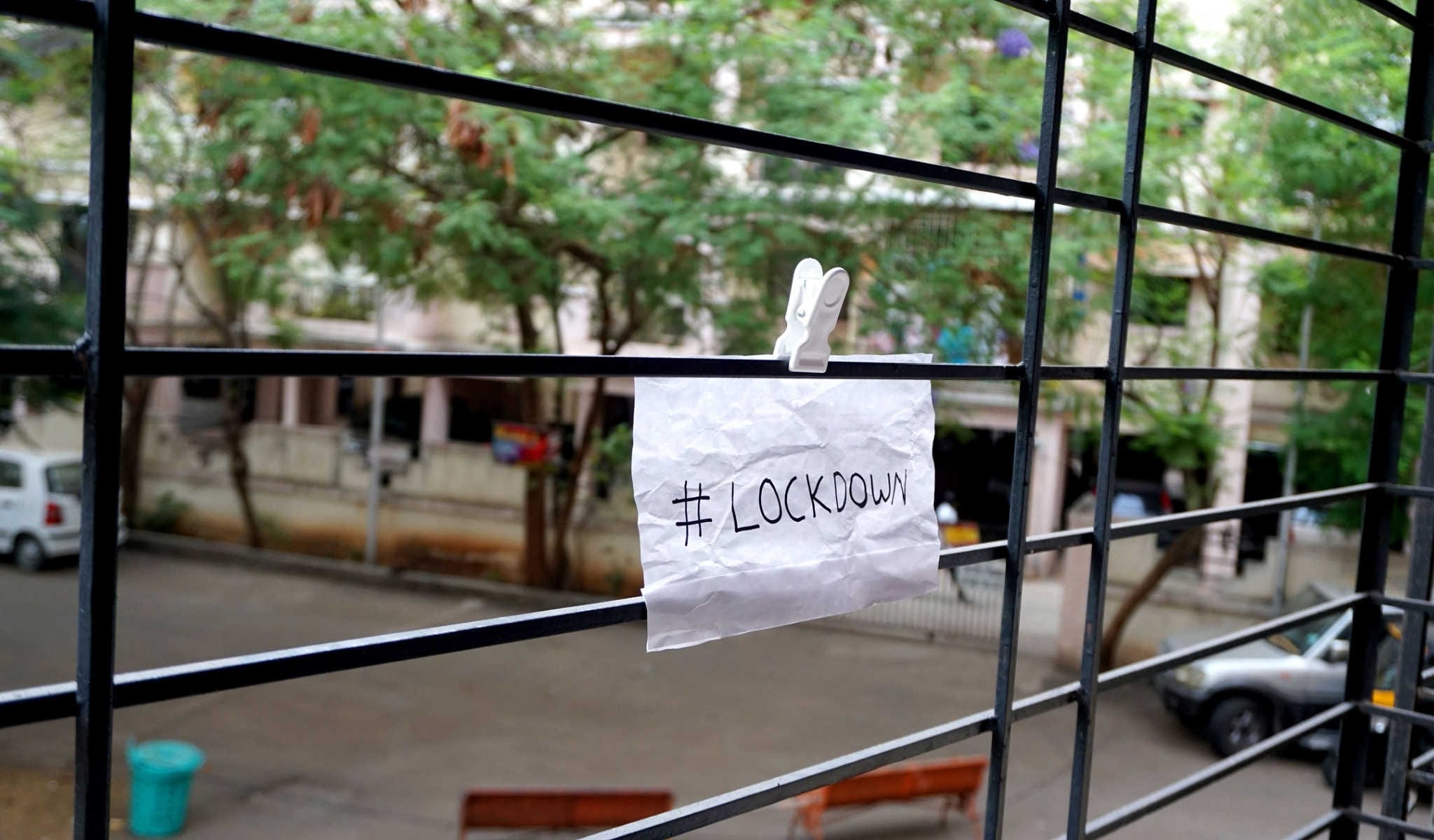lockdowns did nothing