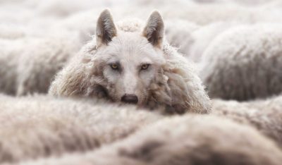 inherent deceit