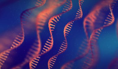 mRNA vaccine