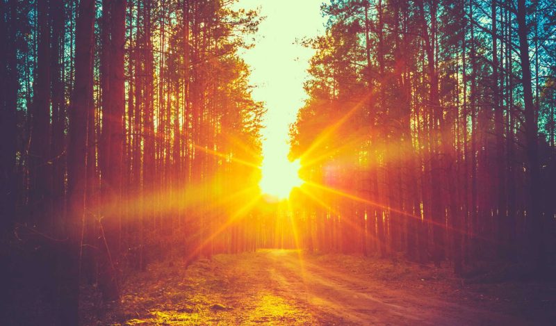 Sunrise curse