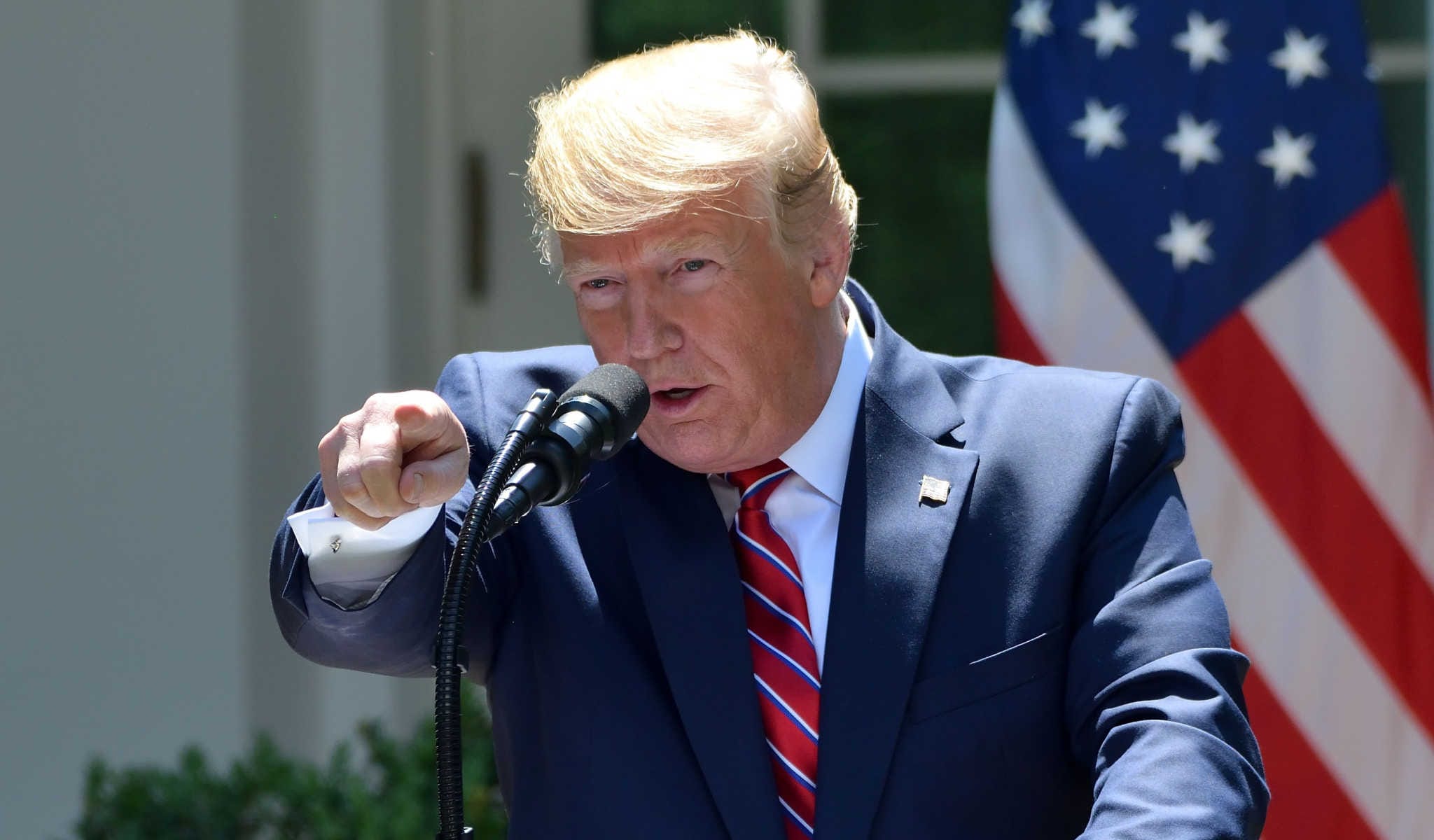 trump lockdowns