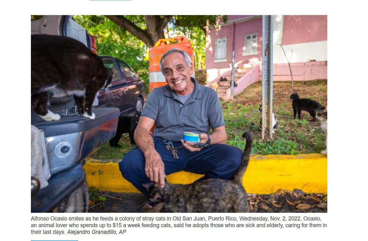 A person sitting on the curb with cats
Description automatically generated