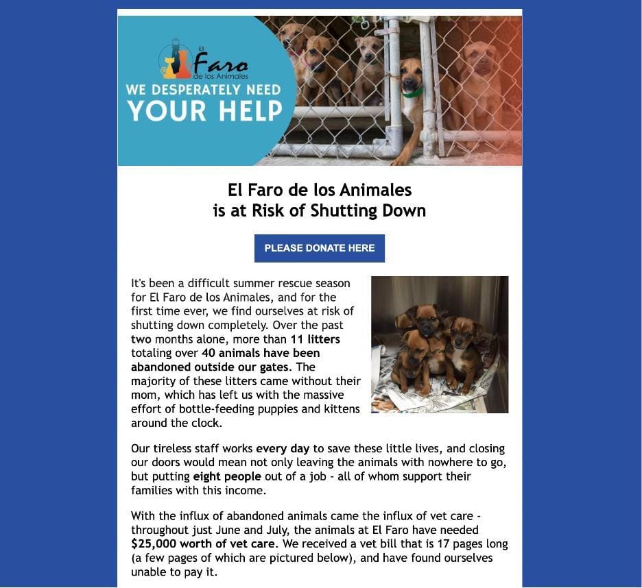 A screenshot of a social media post
Description automatically generated