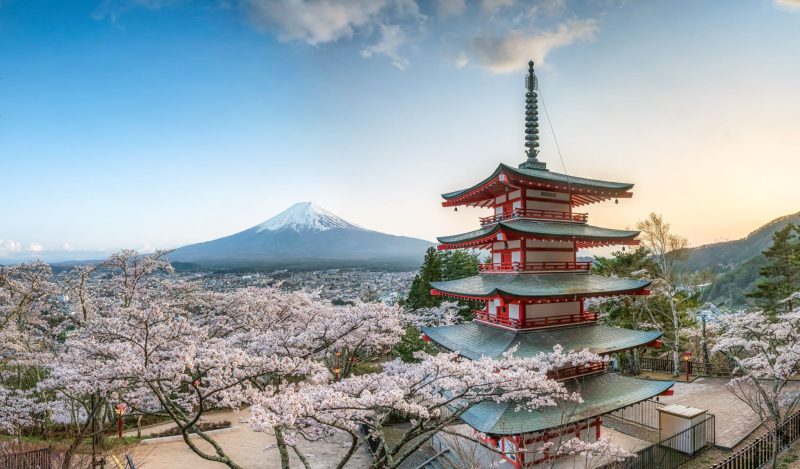 japan doctors covid