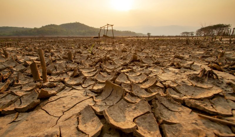 disease infection