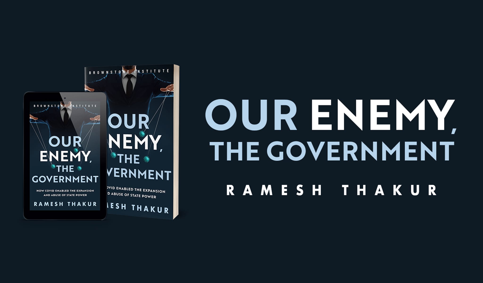 Brownstone Institute - our enemy: the government