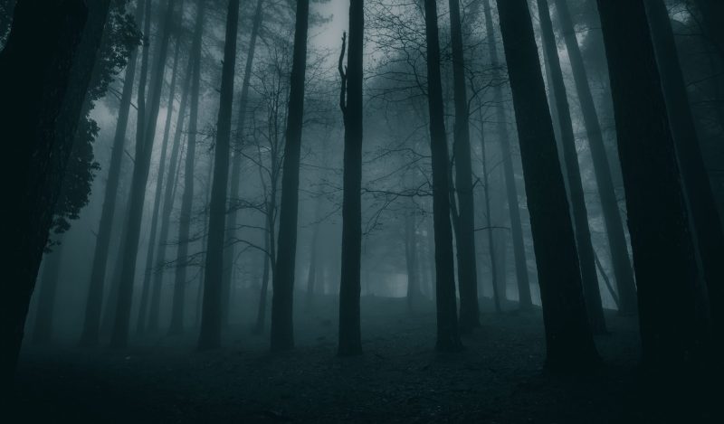 Cutting through the Mist of the Managerial State