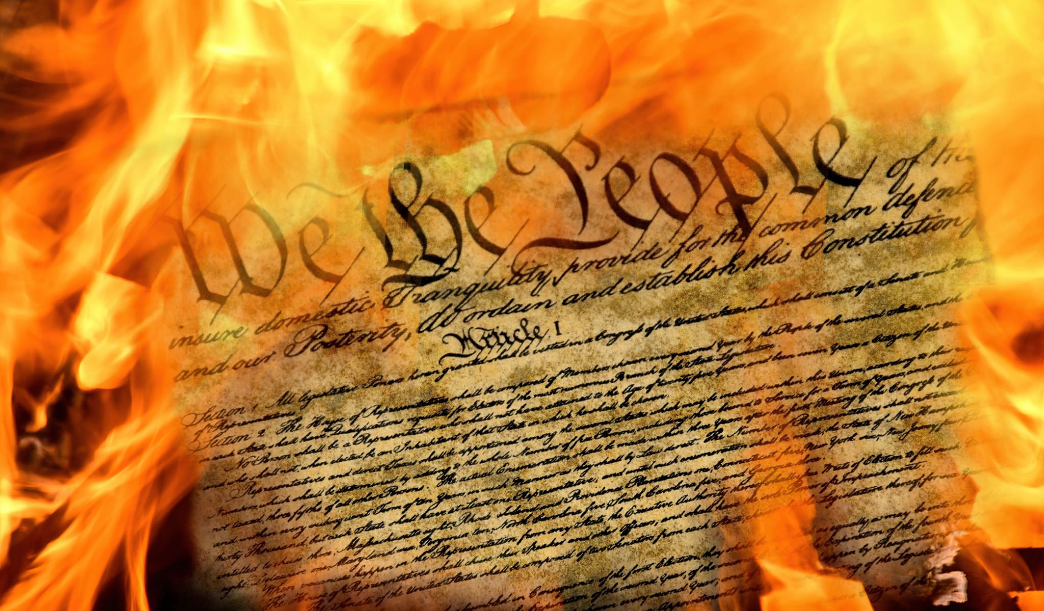 The Velvet Fascism of "Protect our Democracy"