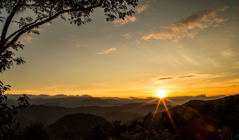 Ten New Year’s Resolutions to Restore Medical Freedom