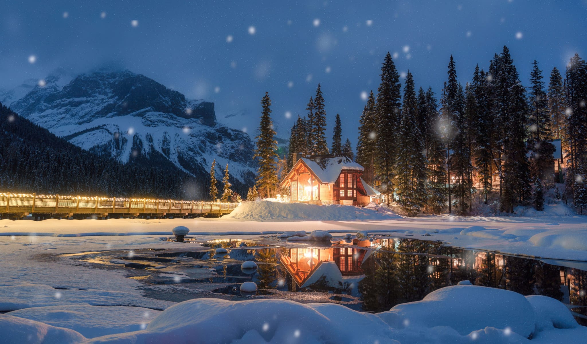 Hope in the Heart of Winter