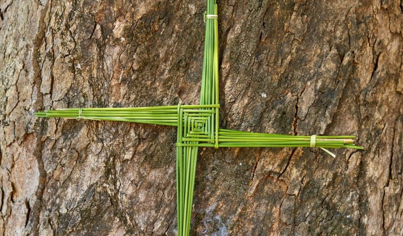 Technocrats Cut Ireland at the Knees - Brownstone Institute