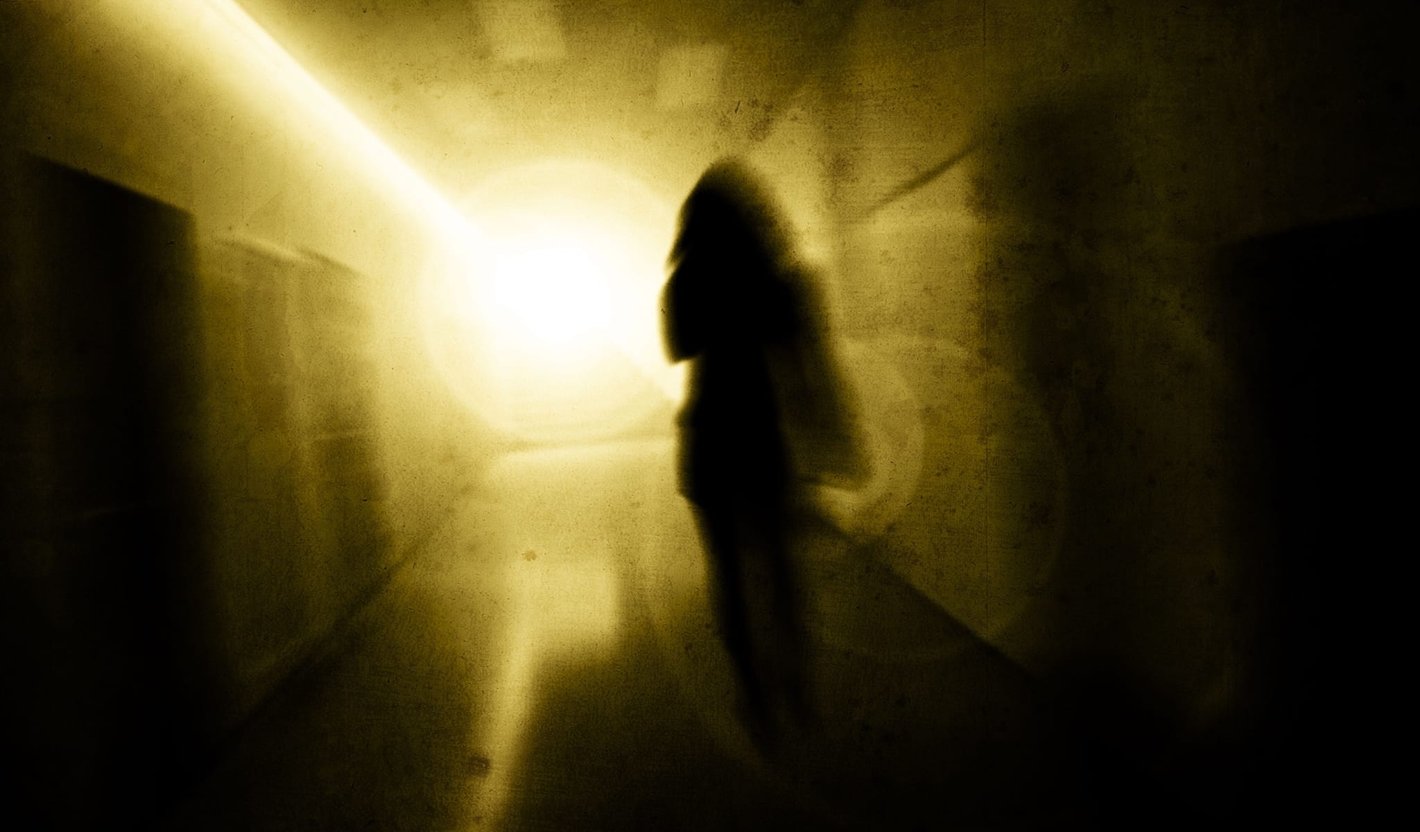 Unshrunk: Laura Delano’s Breakaway from Psychiatry