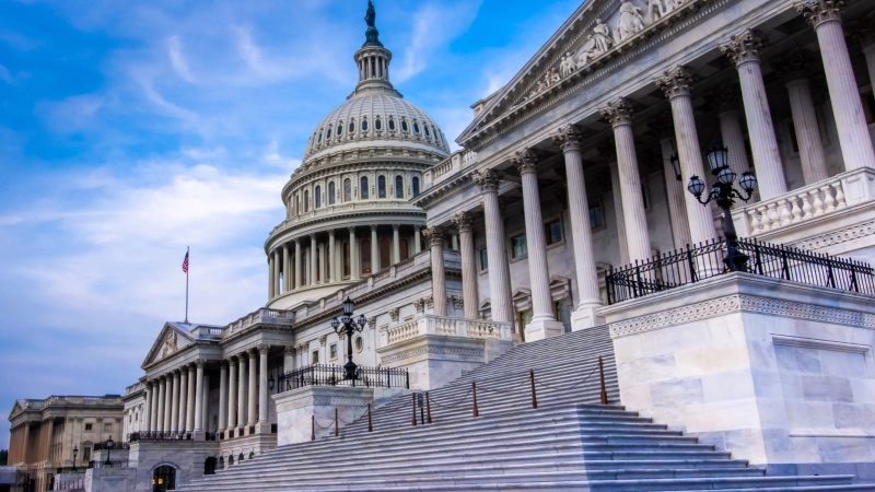 Toby Rogers' to the Permanent Subcommittee on Investigations