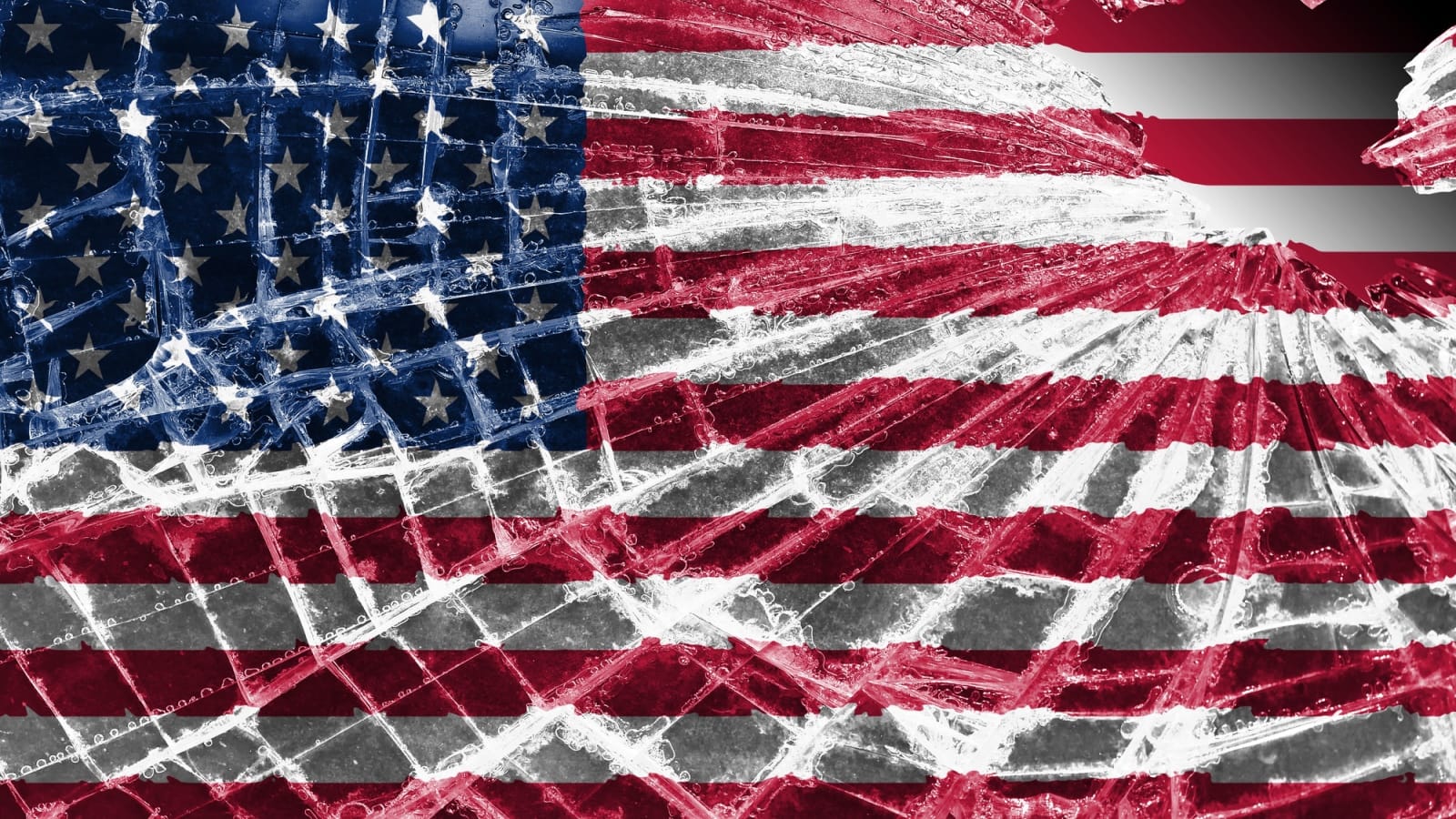 Democracy Dies in Adulterated Voter Rolls
