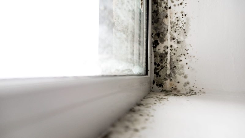 The CDC Needed a Thorough Housecleaning