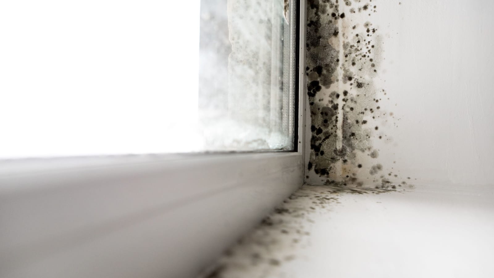 The CDC Needed a Thorough Housecleaning