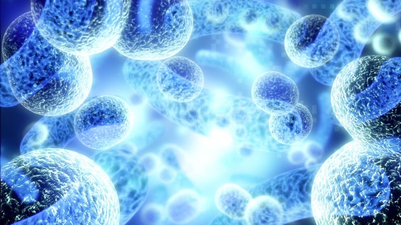 Discussion on Covid Vaccination Should Be Non-Controversial