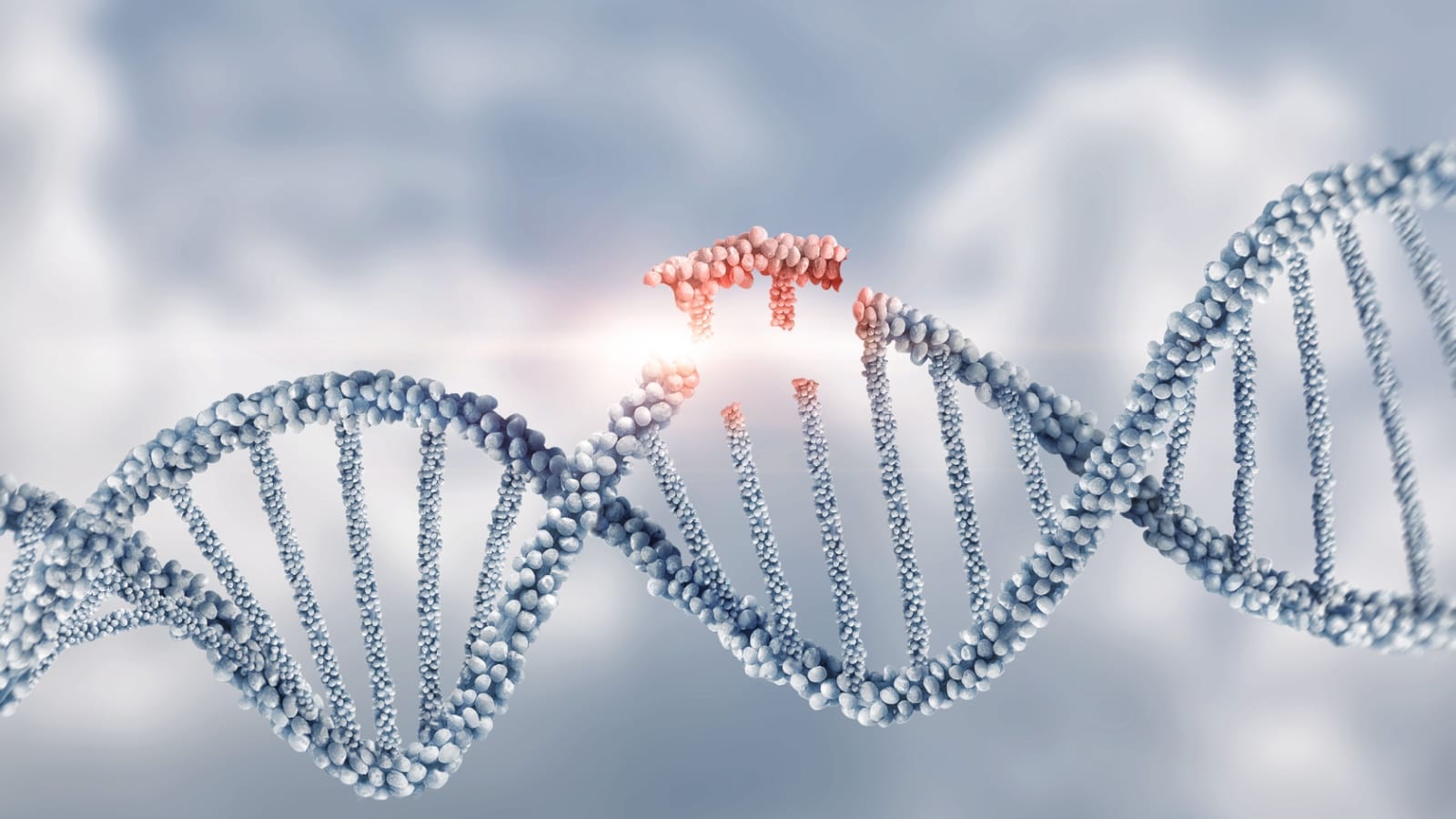The NY Times Acknowledges That Autism Is Not Primarily Genetic