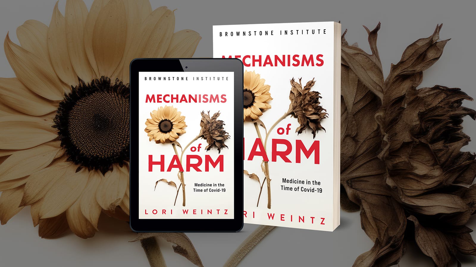 Mechanisms of Harm