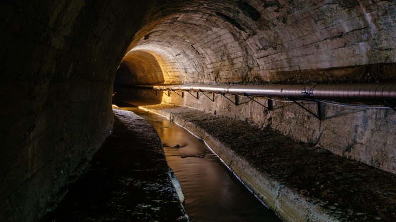 A Sewer, Not a Swamp