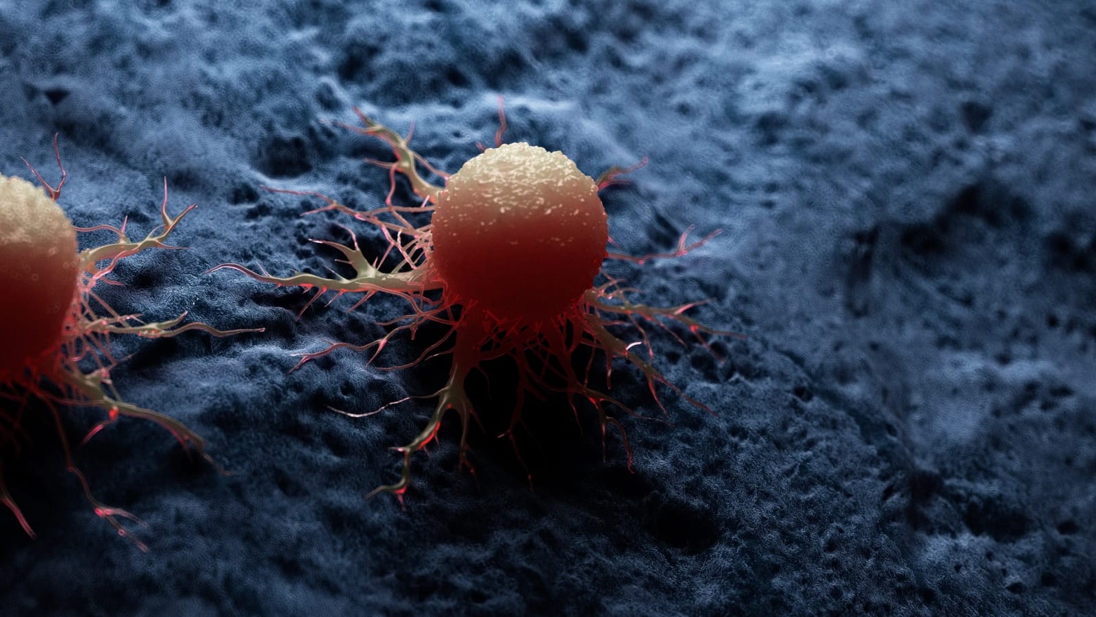When Early Cancer Warnings Are Ignored