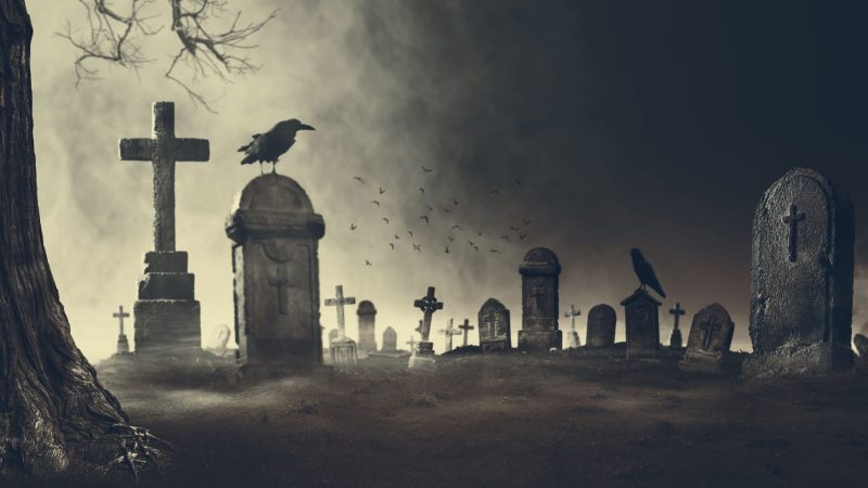 The Reason for Death Rituals