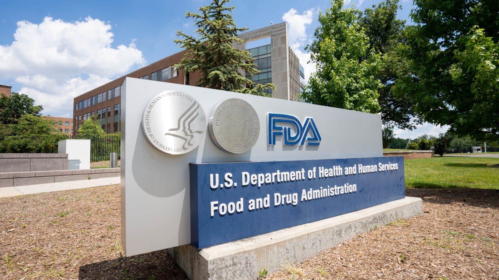 What If the FDA Were Eliminated?