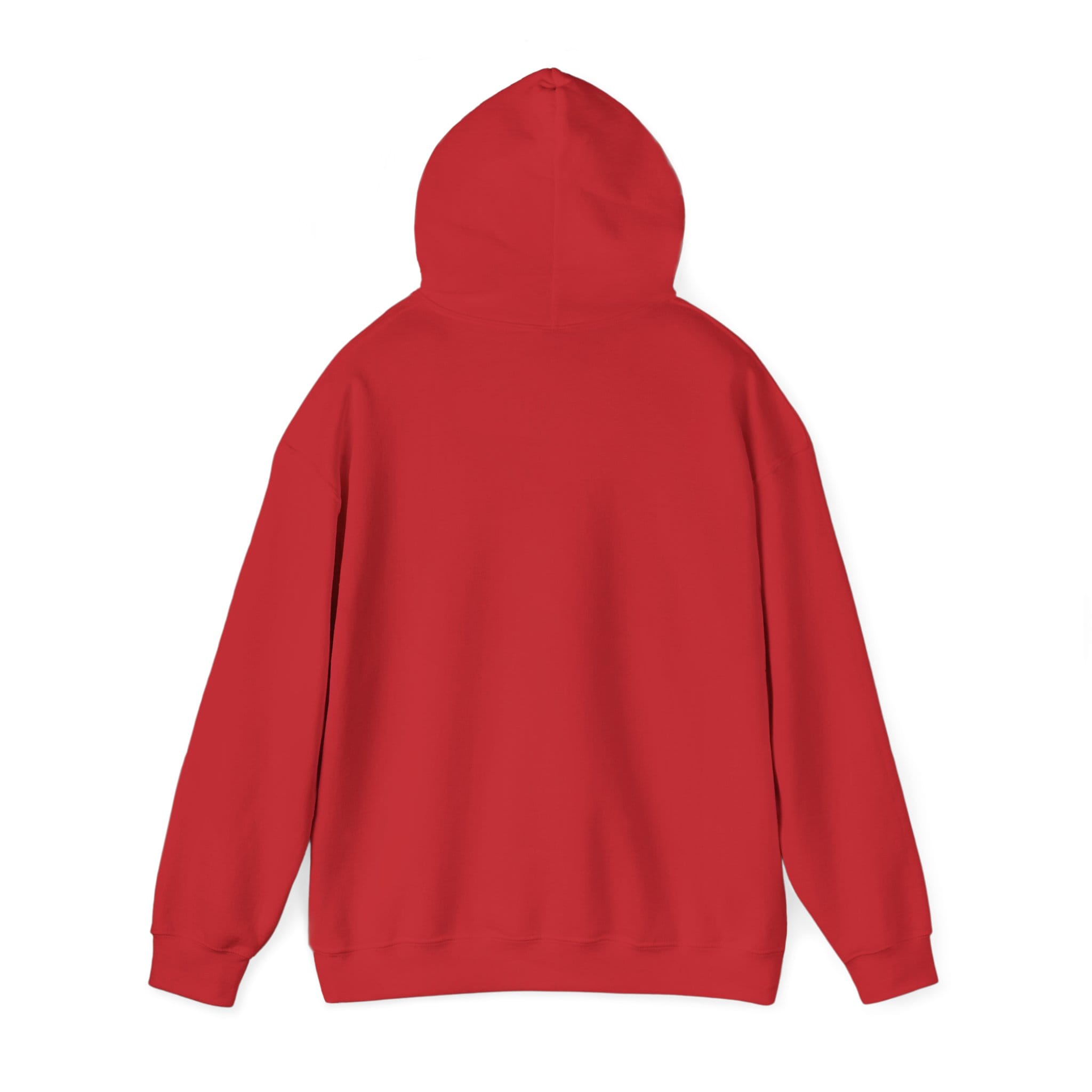 Brownstone Unisex Hooded Sweatshirt - Image 23