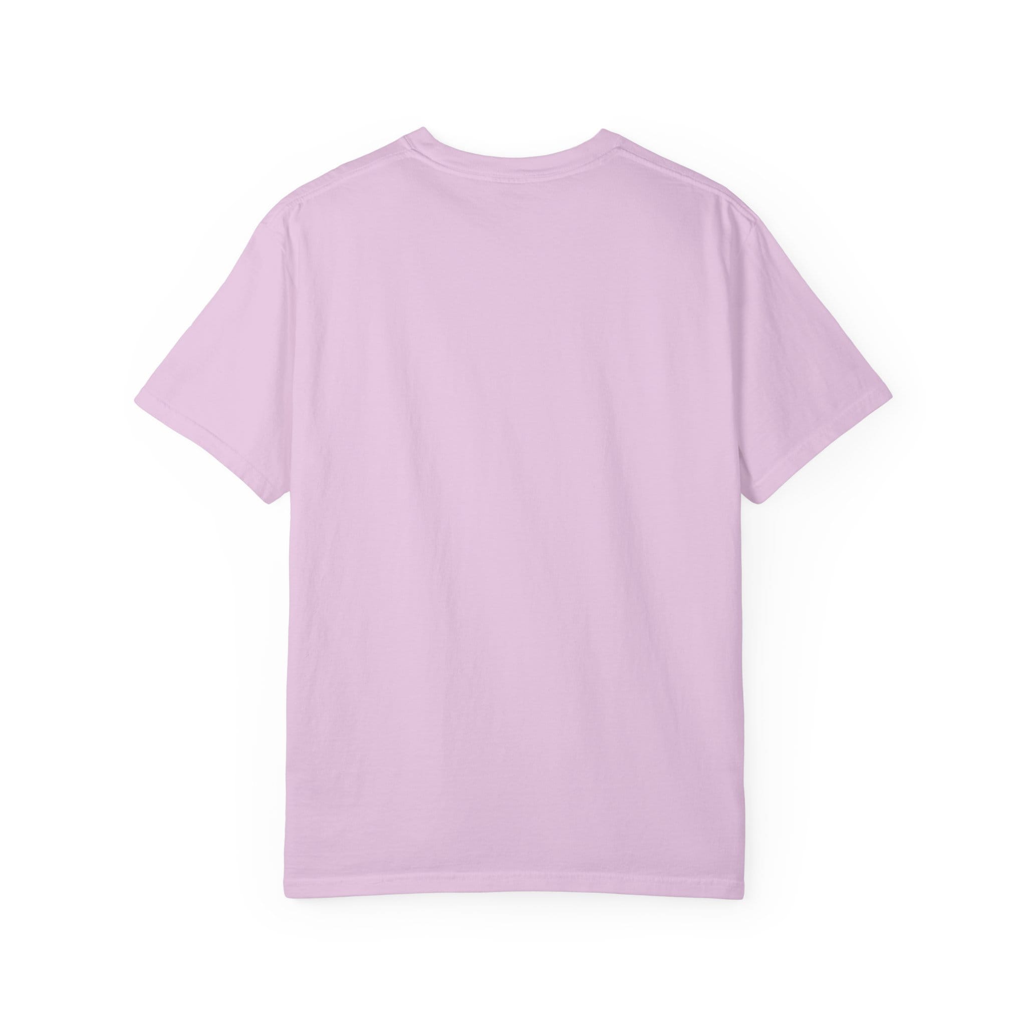 Brownstone Institute T-shirt (Light Colors) - Image 32