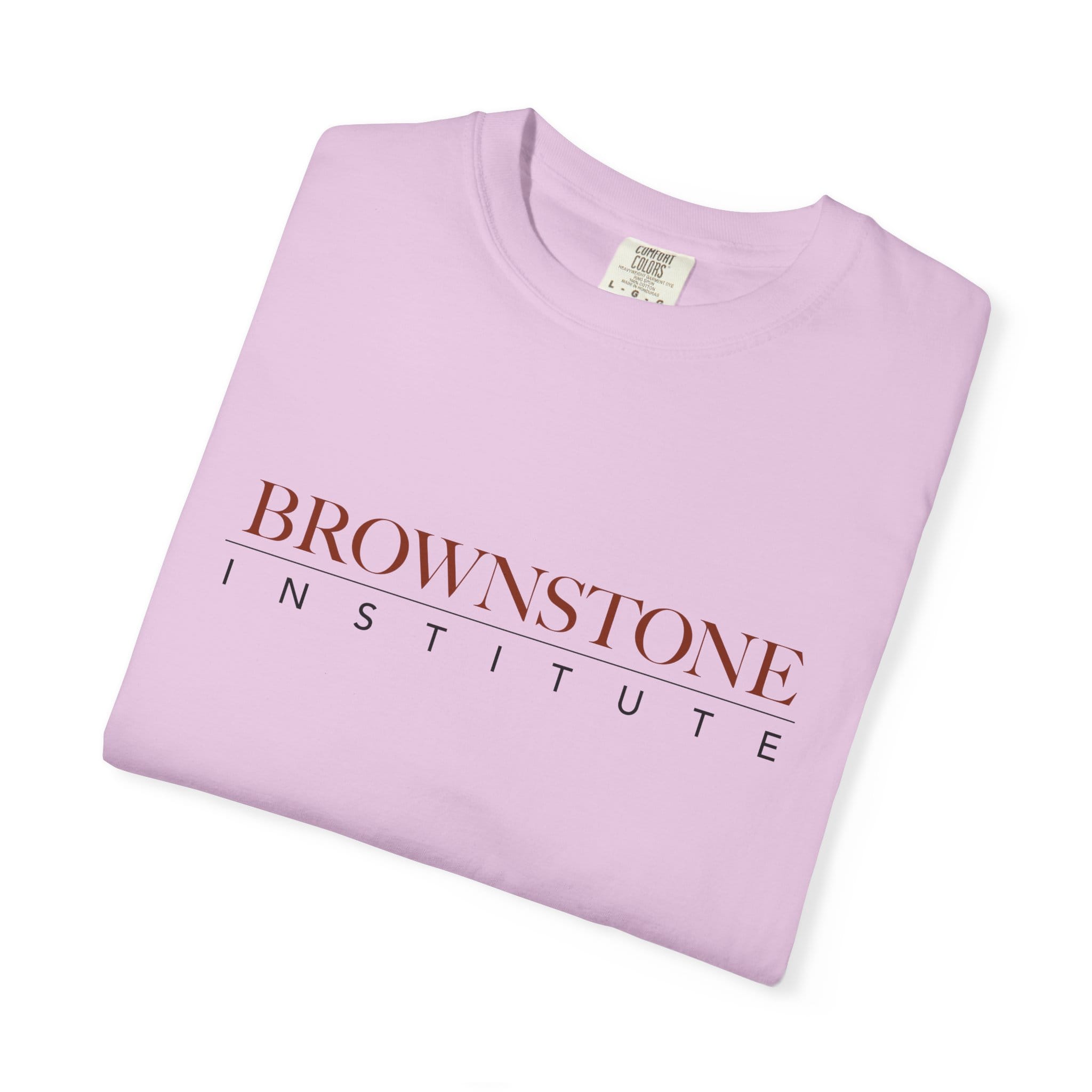 Brownstone Institute T-shirt (Light Colors) - Image 33