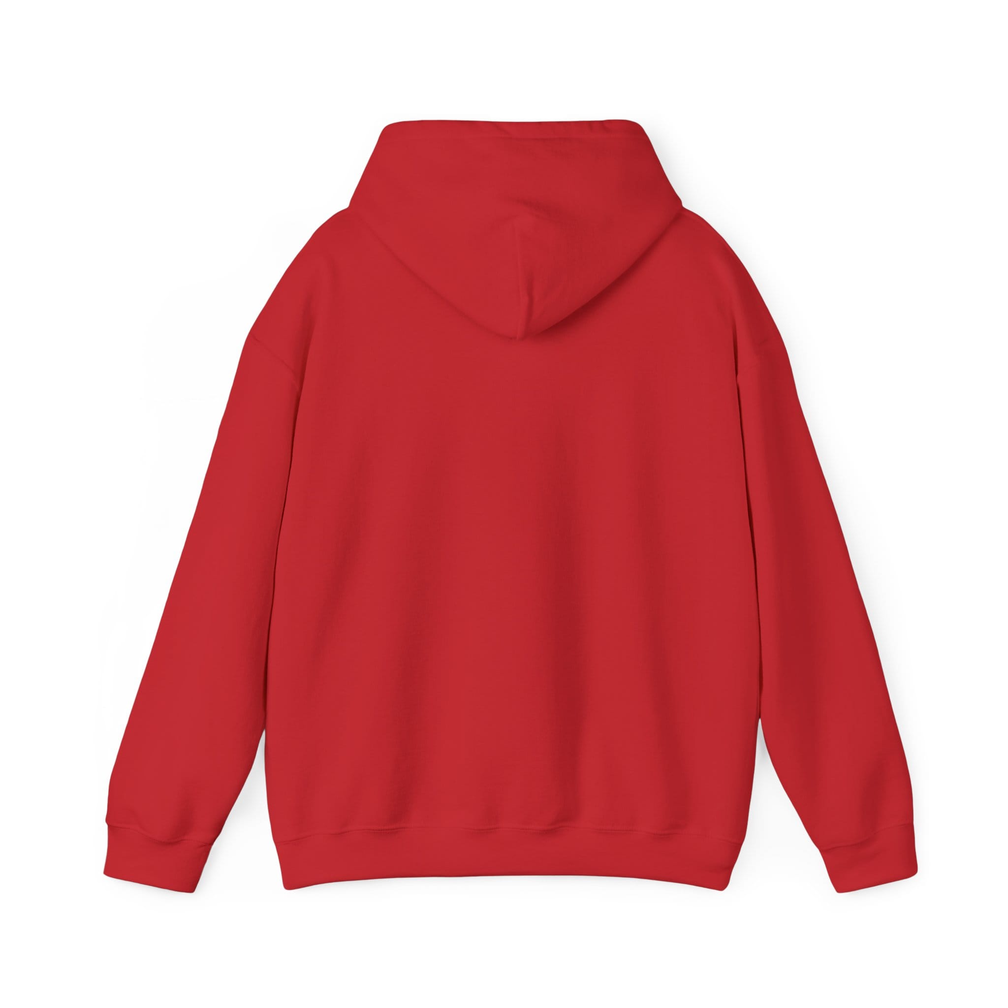 Brownstone Unisex Hooded Sweatshirt - Image 22