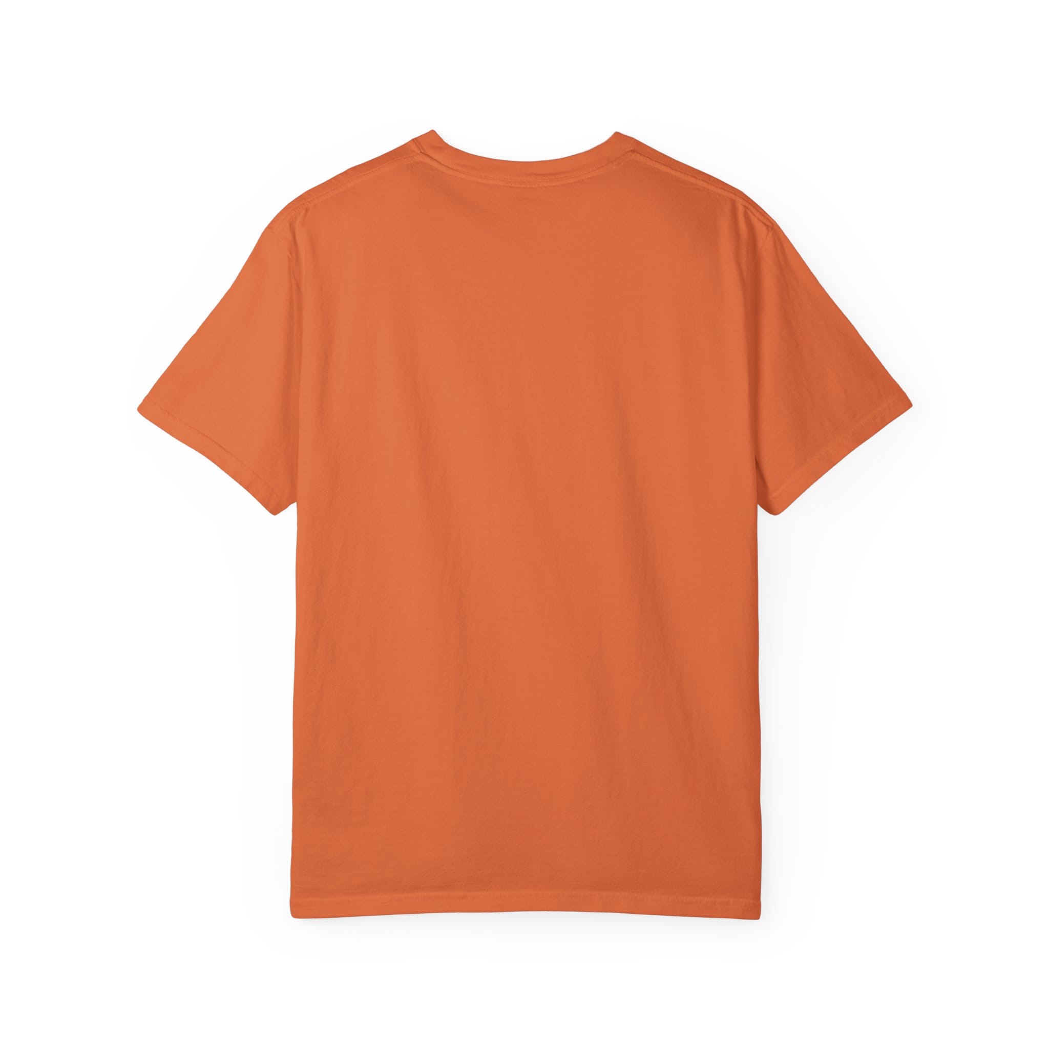 Brownstone Institute T-Shirt - Image 8