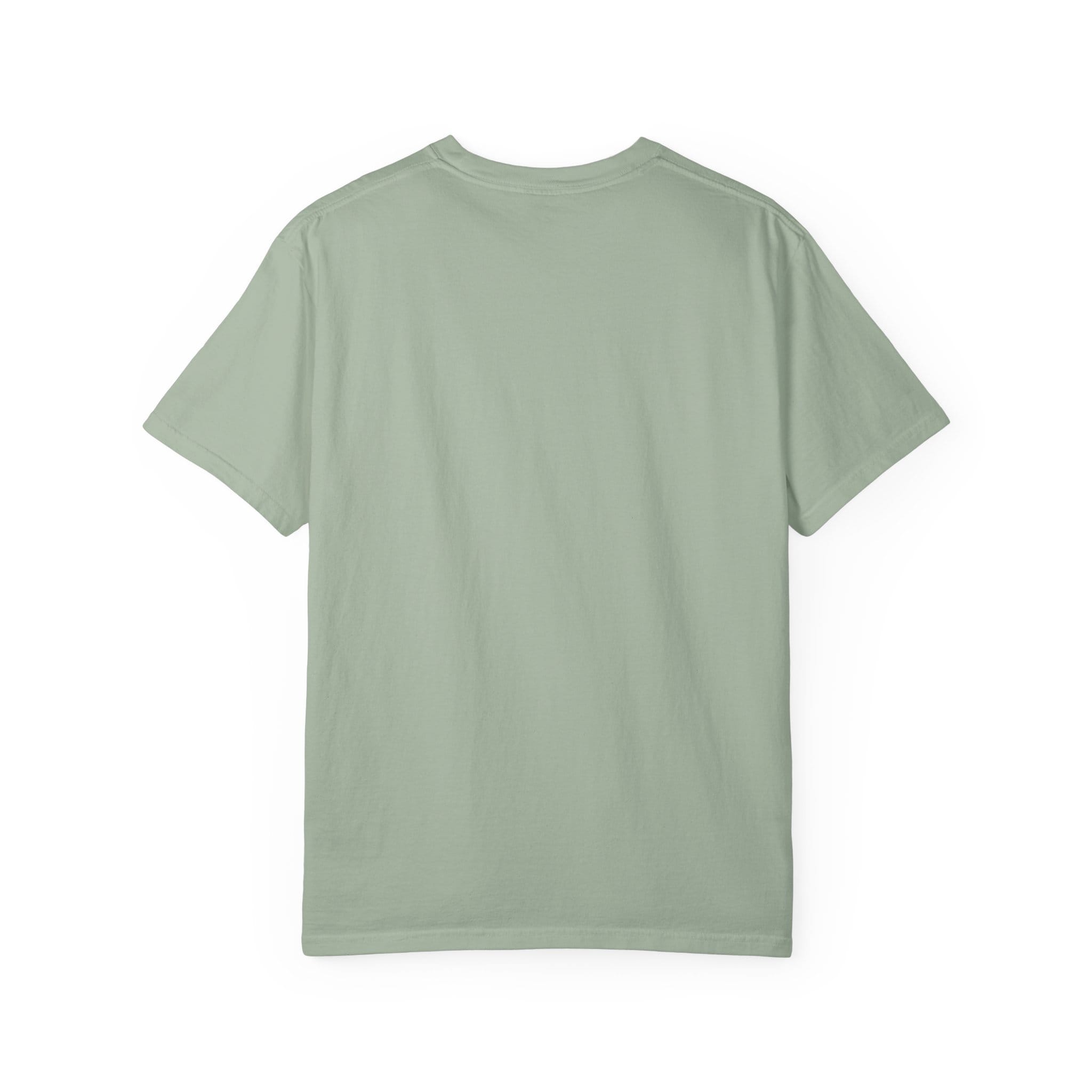 Brownstone Institute T-shirt (Light Colors) - Image 26