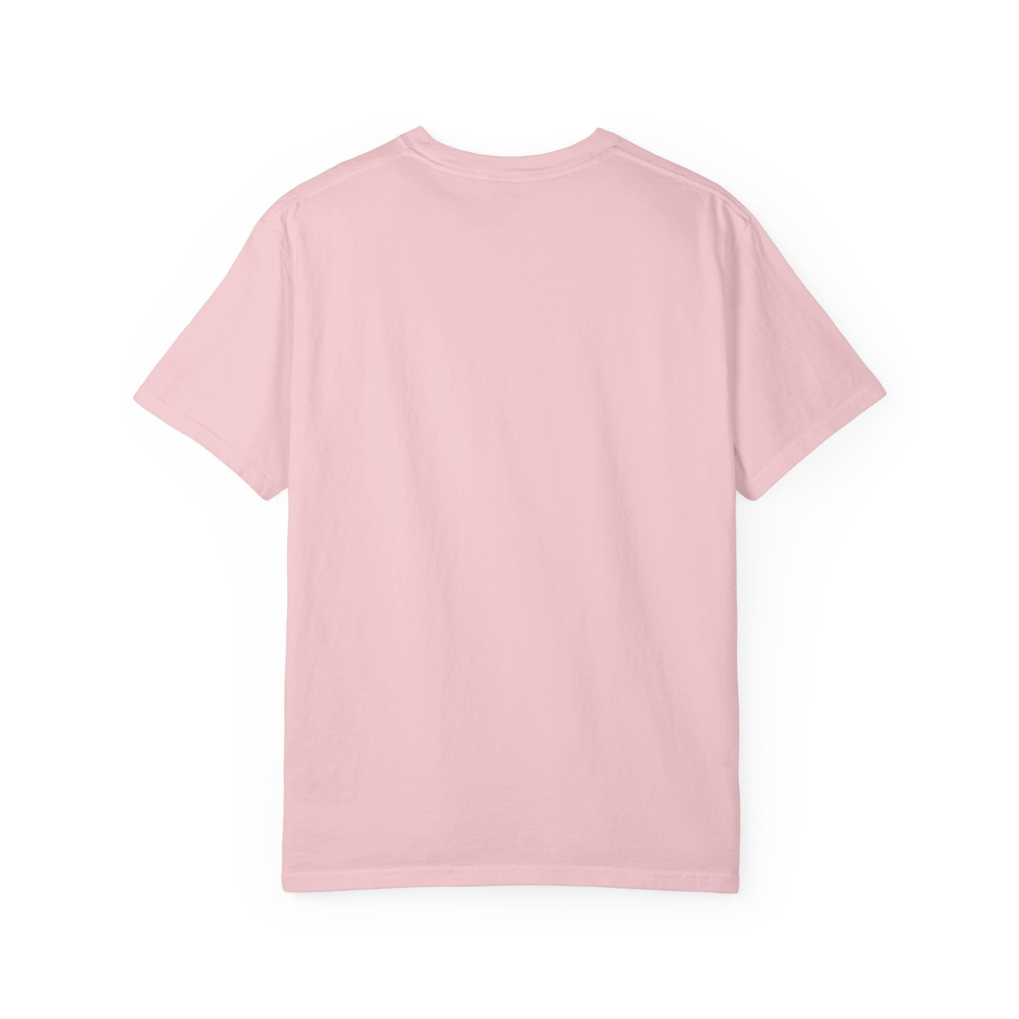 Brownstone Institute T-shirt (Light Colors) - Image 38