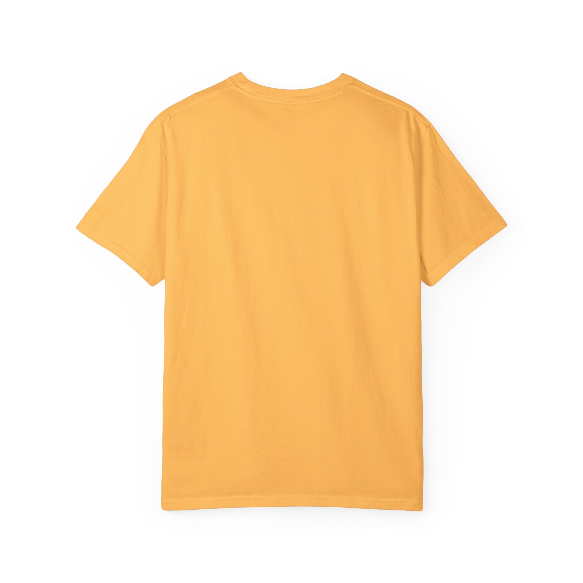 Brownstone Institute T-shirt (Light Colors) - Image 20