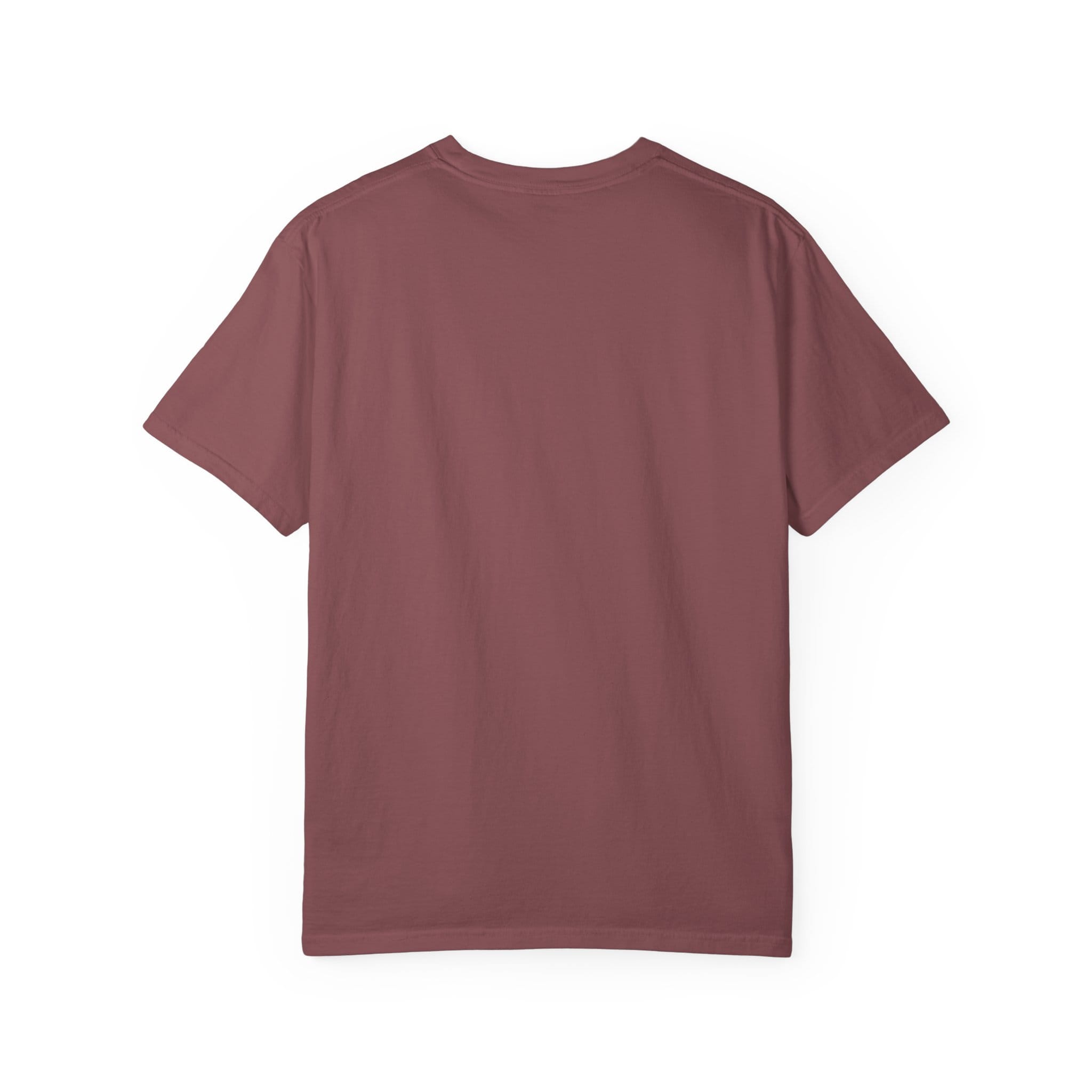 Brownstone Institute T-Shirt - Image 2