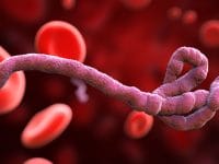 Moderna Is Building a Modified mRNA "Vaccine" for Ebola Bundibugyo