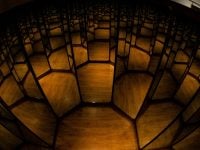 A Hall of Mirrors of the Healthy Vaccinee Effect