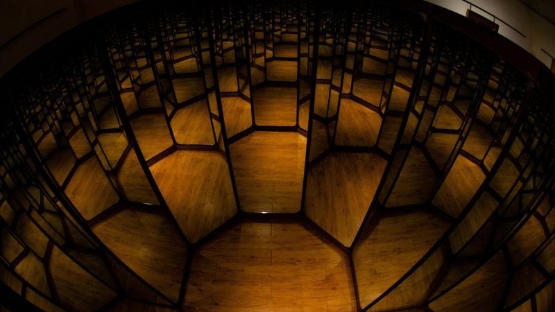 A Hall of Mirrors of the Healthy Vaccinee Effect