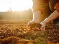 What Lessons Can We Learn from Wendell Berry?