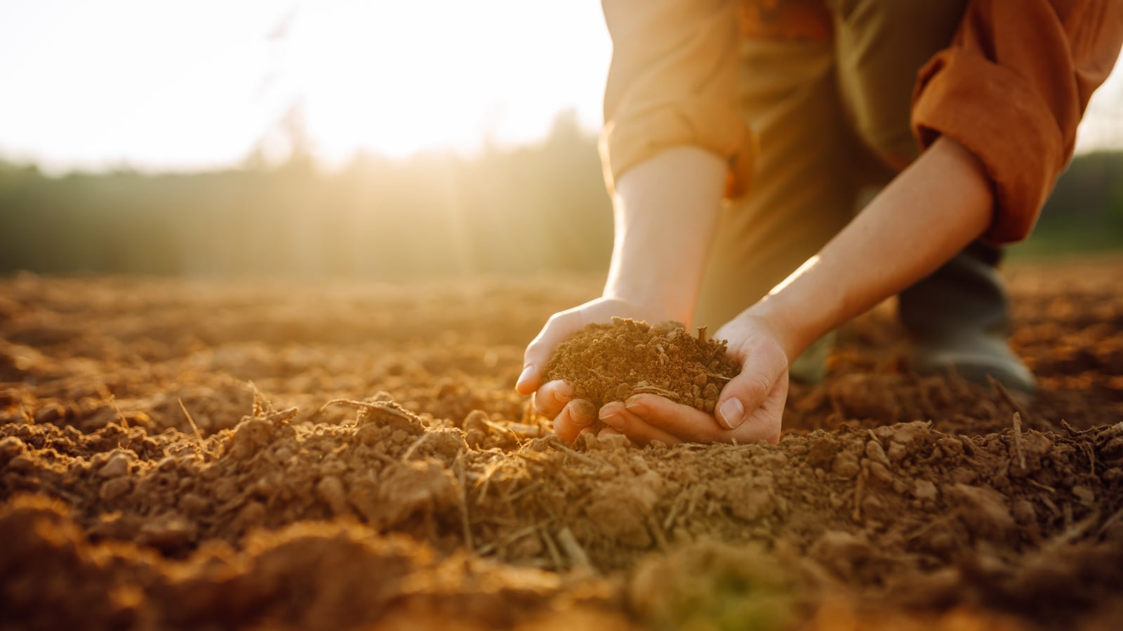What Lessons Can We Learn from Wendell Berry?